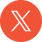 x-icon
